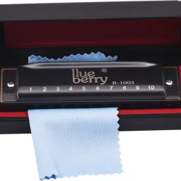 R-1003 Harmonica Key of C 10 Holes 20 Tones Blues Harp Diatonic Mouth Organ-image-7