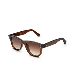 HASHTAG EYEWEAR Men Brown Lens & Brown Wayfarer Sunglasses with-image-10