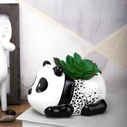TAYHAA Black 1 Pieces Succulent Artificial Plant With Pot-image-31