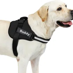 Dog Harness Chest Body Belt for Large Adult Dogs (for Above 35 kg dogs) Dog Reflective and LED Harness-image-27