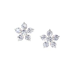 Sparkles Women Earrings Diamond-image-76
