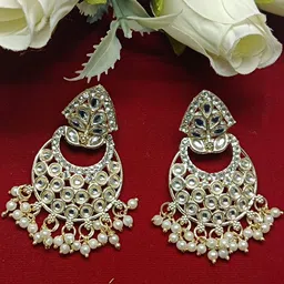 NIPSTec Silver Alloy Earrings-picture-36