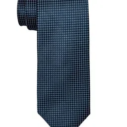 The Tie Hub Men Checked Broad Tie-picture-18