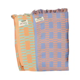 Ramraj Assorted 2 Striped Cotton 170 GSM Bath Towel-4