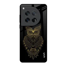 QRIOH Quirky Printed Oneplus 12 Back Case Mobile Accessories-picture-25