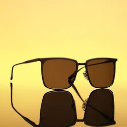 French Accent Men Wayfarer Sunglasses with Polarised Lens SS2025_HSSG2821-1