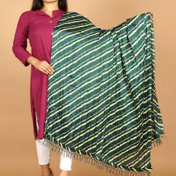 Apratim Printed Dupatta-picture-14