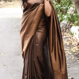 KALINI Woven Design Pure Silk Saree-image-70