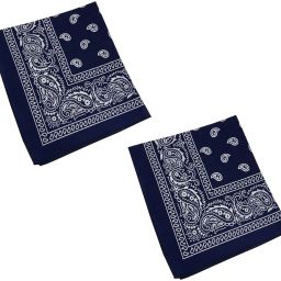 Men, Women, Boys, Girls Printed Bandana-image-20