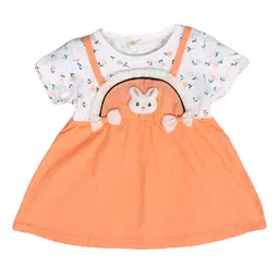 Bold N Elegant Floral Print Pinafore Dress-29
