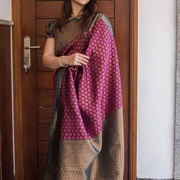 AMRUTKALA SAREES Women Woven Design Zari Banarasi Saree-picture-26