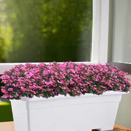 Kuber Industries 6Pcs White Rectangle Shaped Jupiter Window Planters image 5