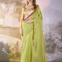 Kalista Sequinned Organza Saree-picture-30