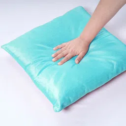 MYTRIDENT Blue Square-Shaped Pre-Filled Cushion-58