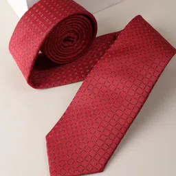 Allen Solly Men Printed Broad Tie-picture-32