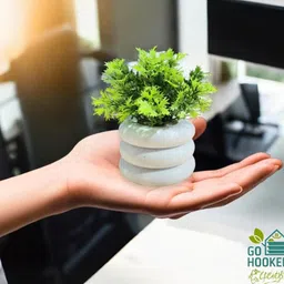 Go Hooked Artificial Mini Plants Pot image 2