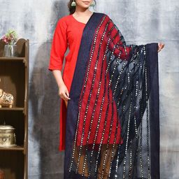 swatika Embroidered Organza Dupatta with Mirror Work-7