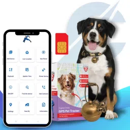 Safety Smart Tracker-21