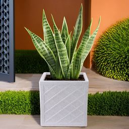 Myntra Elegant Homes White Textured Weather-Resistant Planter-21