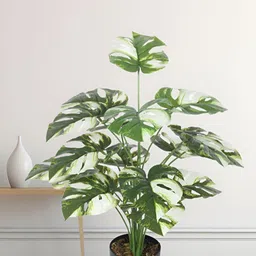 Home Bloom White & Green Monstera Deliciosa Artificial Plant With Pot-image-34