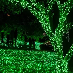 KAVYARA Green Rice Shape String Light-12