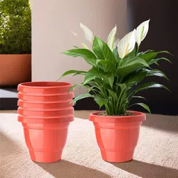 Kuber Industries 6-Pcs Red Durable Planters-17