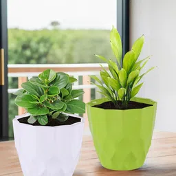 Kuber Industries 6Pc White & Green Barfi Pattern Durable Plastic Planters-56