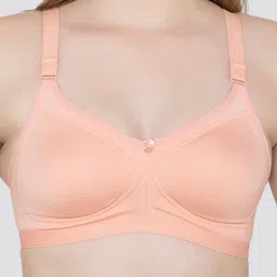 Maashie Pack of 2 Full Seamless Coverage Non Padded Tshirt Bra image 2