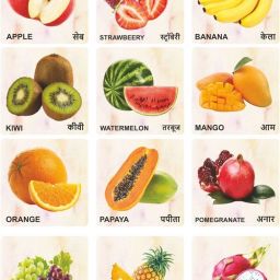 Fruits Wooden Flash Cards Hindi English Educational Learning Cards for Kids-image-66