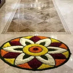 radecor Microfiber Door Mat-picture-0