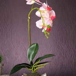 Myntra Elegant Homes White 1 Pieces Orchid Artificial Plant With Pot-35