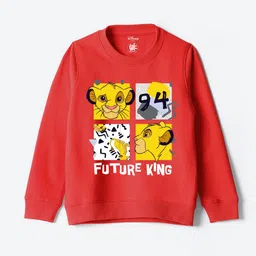 YK Disney Boys Printed Sweatshirt-picture-57
