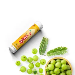 ESCOR-Z Set Of 6 Vitamin C Orange Flavour Sugar Free Immunity Tablets - 20 Tablets Each-11