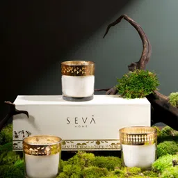 Seva Home Gold-Toned & White 3 pieces Jar Candle-image-19