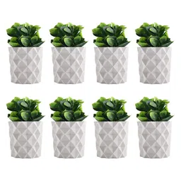 Kuber Industries White & Green 8 Pieces Textured Artificial Plants With Pots-image-65