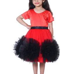 Wish little Girls Red and Black Round Neck Net A-Line Dress-image-24