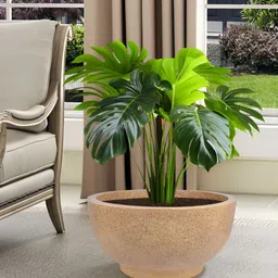 RUBOXA Marble Lotus Brown UV-Protected Planters-46