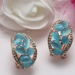 Maansh Contemporary Hoop Earrings-10