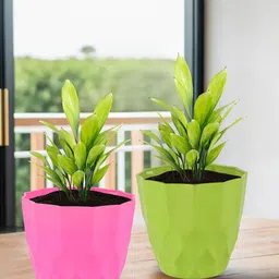 Kuber Industries 4-Pieces Pink & Green Textured Planters-12