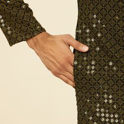Manyavar Men Ethnic Motifs Embroidered Regular Sequinned Kurta with Pyjamas image 3