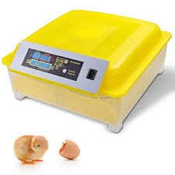 Egg Incubator by AMK Labs Poultry Hatcher Brooder 48 -Egg, Auto Turn (48 Chicken Eggs Incubator) image 1