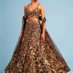 DIVASTRI Embroidered Sequinned Lehenga Choli With Dupatta-picture-52