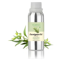 YOUNG CHEMIST Eucalyptus Essential Oil - 100 ml-17