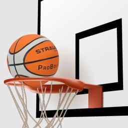 STRAUSS ColorBlacked Training Basketballs-15