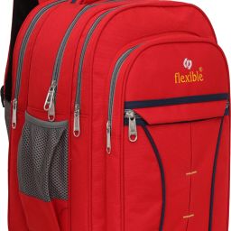 60L Large Latest And Trendy 4 Compartment School Bag,College bag ,tution bag Waterproof School Bag-image-97
