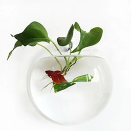 5 L Fish Bowl-image-49