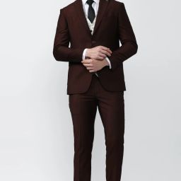 Men Single Breasted - 2 button Solid Suit-image-67