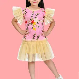 FASSY Girl Floral Embroidered Flutter Sleeve Drop-Waist Dress-image-93