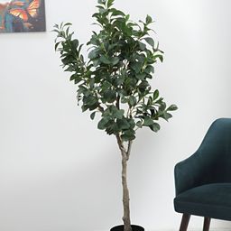 ARICK DECOR Green 1 Pieces Ficus Artificial Plant With Pot-picture-6
