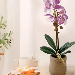 UMAI Purple 1 Pieces Artificial Flower-image-48